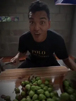 mangos mangos v2