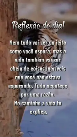 Reflexão do dia
