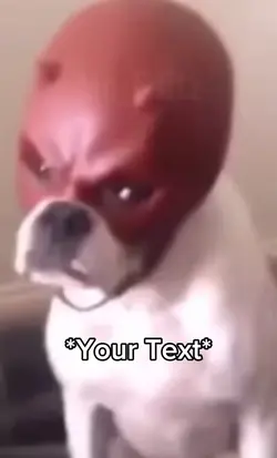 Bruh Dog