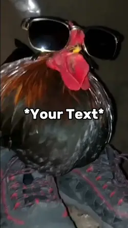 Chicken Meme