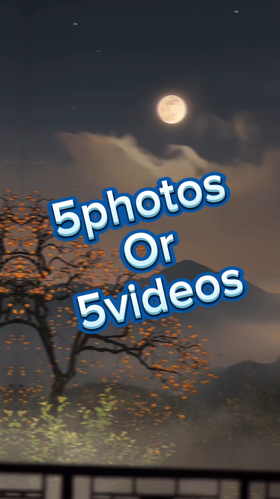 5photos/videos