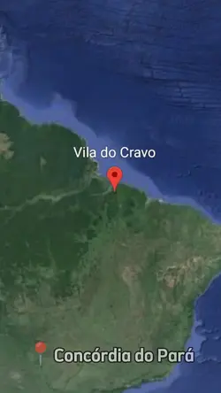 Alguém me avisou 
