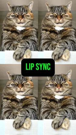Lip Sync APT