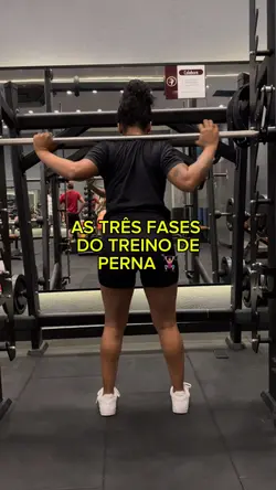As 3 fases do treino