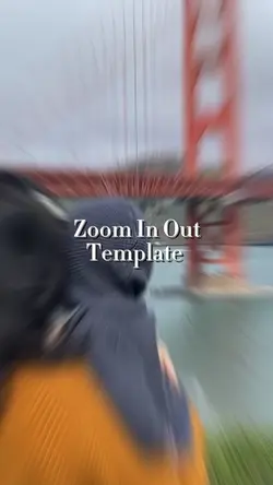 Zoom in out template