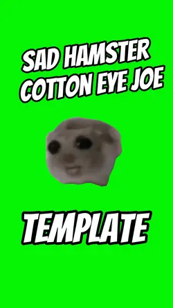 Cotton Eye Hamster 