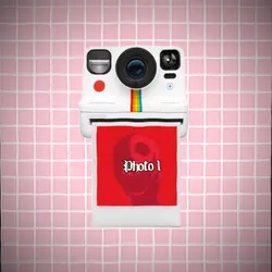 Polaroider