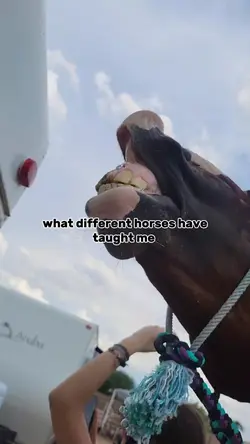 what dif horse taugh