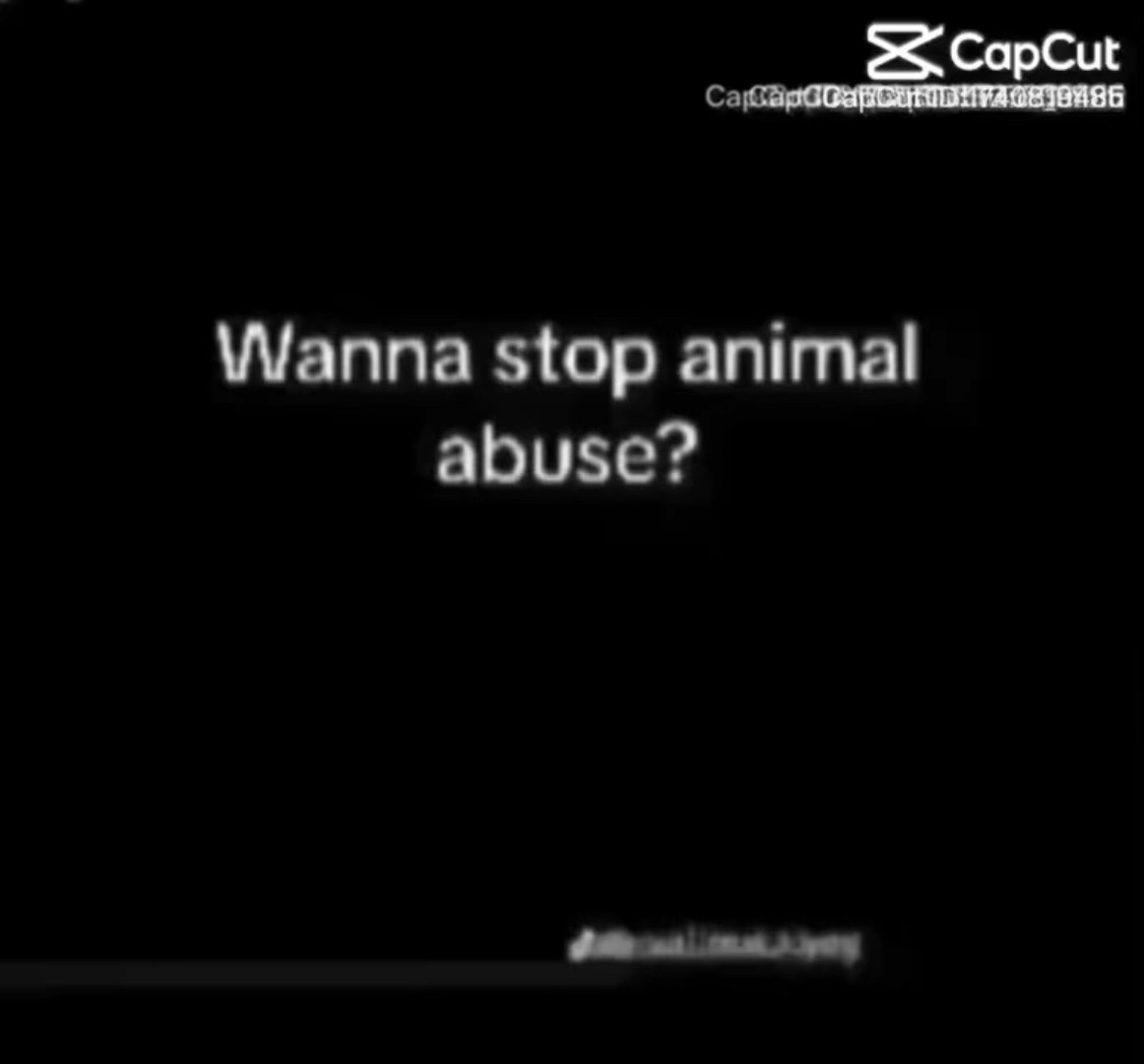 Stop animal abuse
