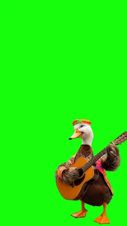 duck guitar