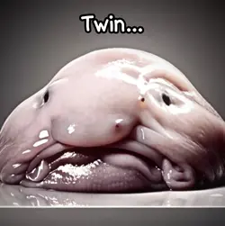 Blobfish Twin…