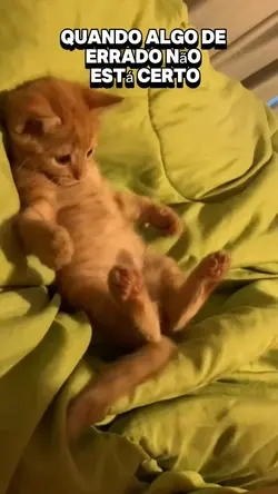 Algo de errado 
