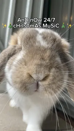 24/7 Christmas music