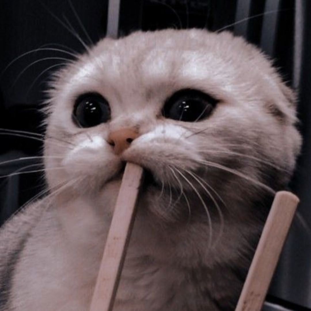 EU TE AMO, TANJIROOO