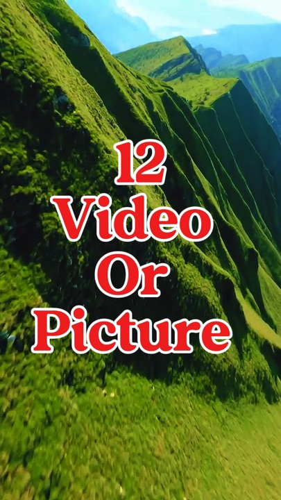 12 video or picture 