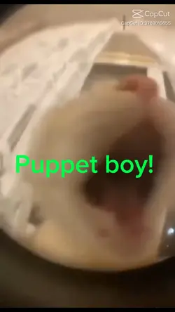 puppet boy!