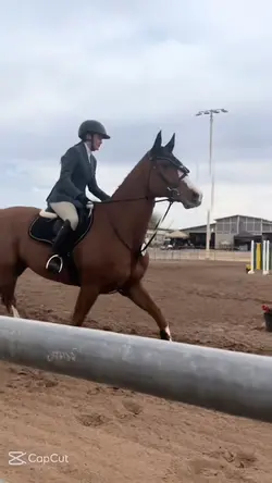 edit of ara 😛😛🤍🤍💋💋