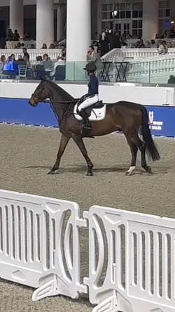 HORSE AUCTION AT WEC