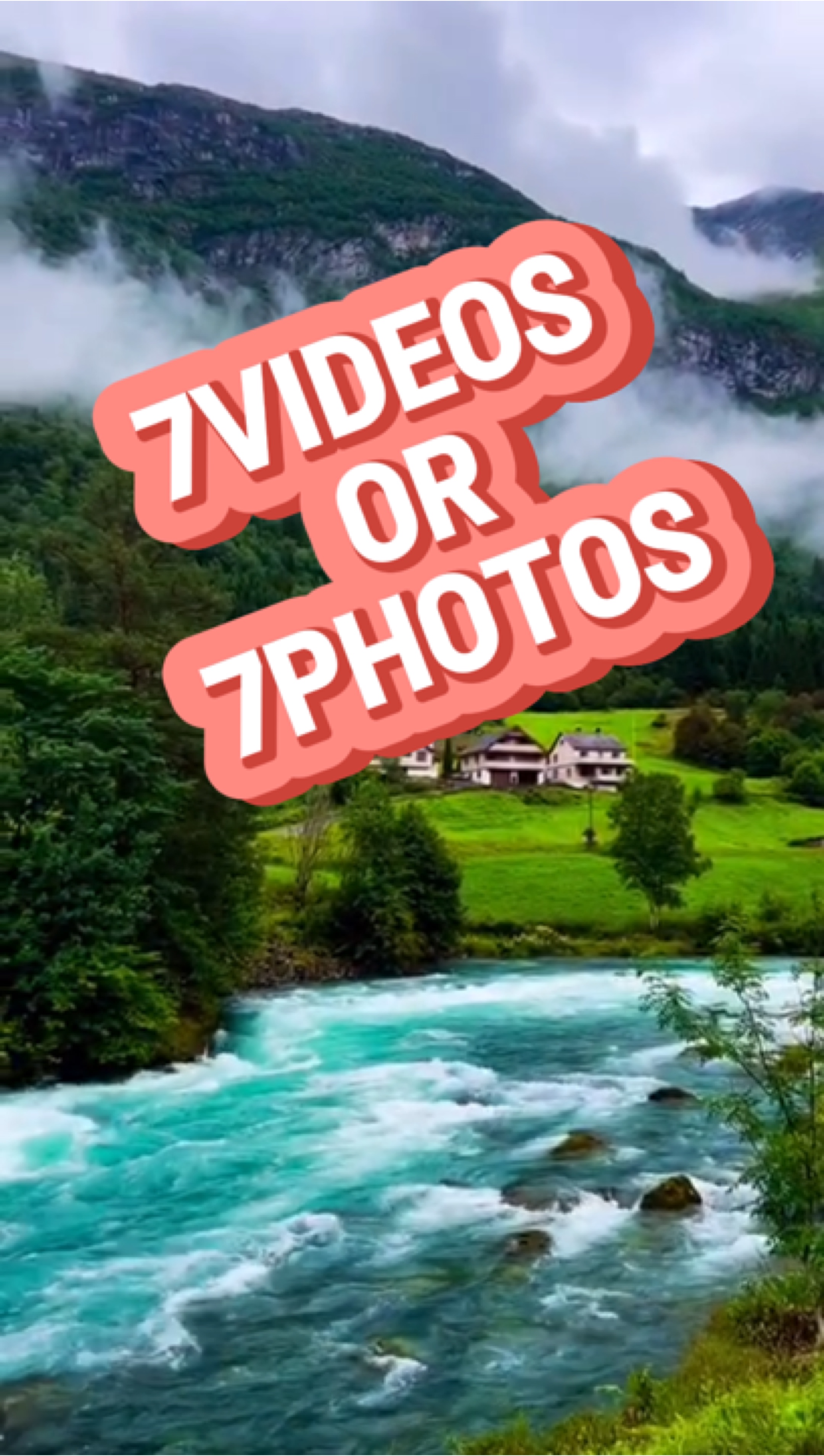 7 videos / 7 fotos