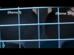 ✨WE START FIRES✨