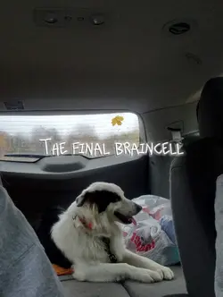 Final brain cell