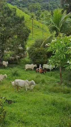 country lifestyle
