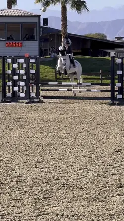 ⚠️NOT REAL⚠️‼️FAKE‼️⚠️