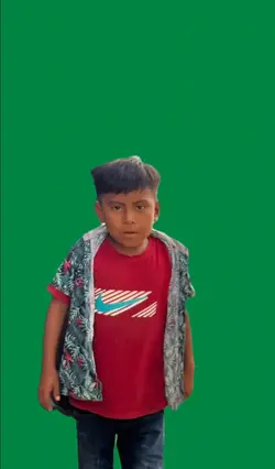 solo pajitas 