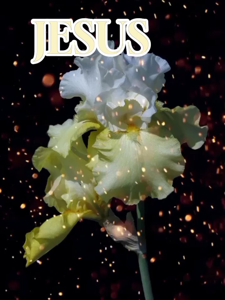 LOUVANDO A JESUS