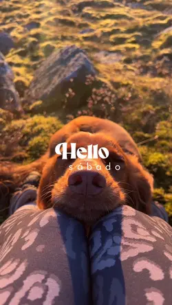 Hello sábado ☀️