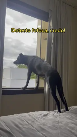 Detesto fofoca