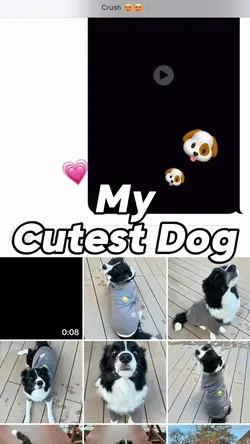 My cutest dog ๐ถ
