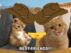 BEST FRIENDS ‼️😻✨