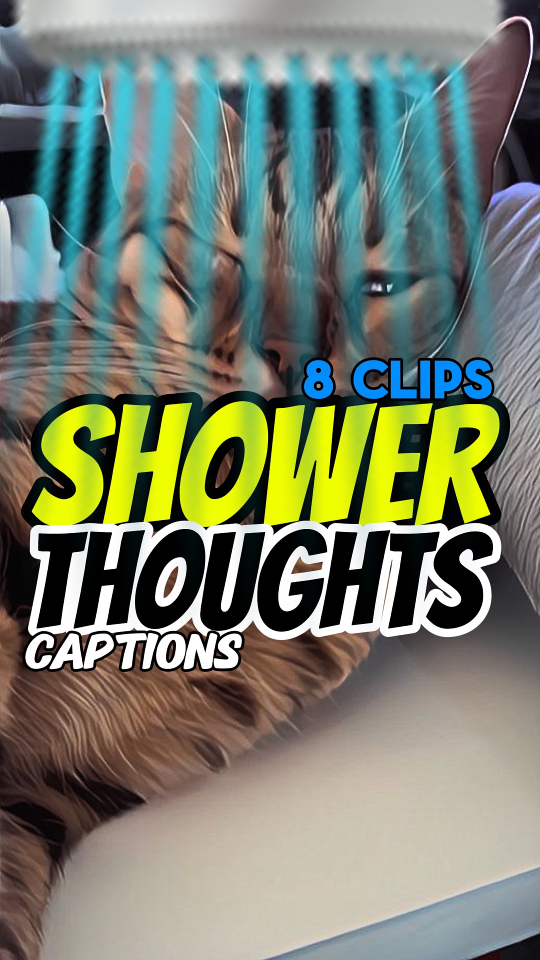 Shower thoughts 🚿😸😹