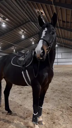 ⚠️NOT REAL⚠️ | 