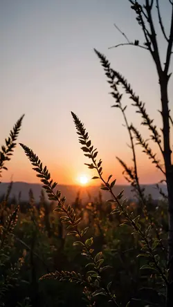 Ahí Estaré Yo❤️