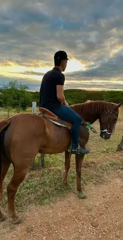 Uma Canção que Diz