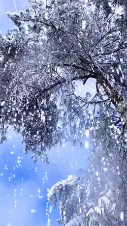 Snow scene