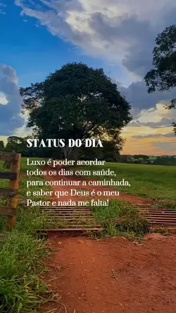 Status do dia 