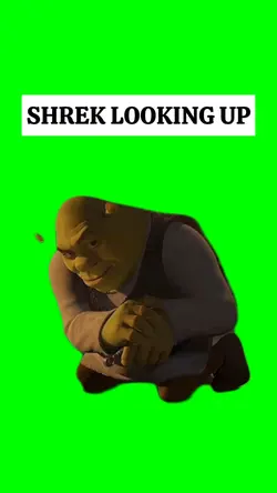 SHREK LOOKING UP