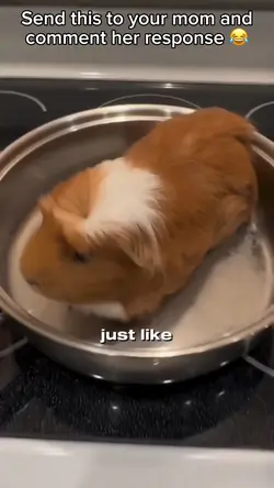 Cooking Cutness