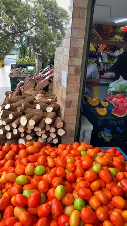 Hortifruti 