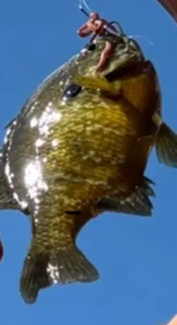 Lyrics Morgan wallen