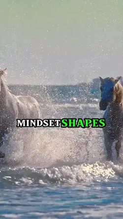 Mindset shapes 