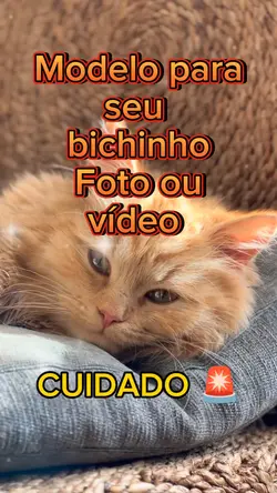 Cuidado com Pet
