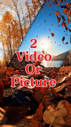 2 video or picture 