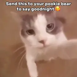 Send To Pookie