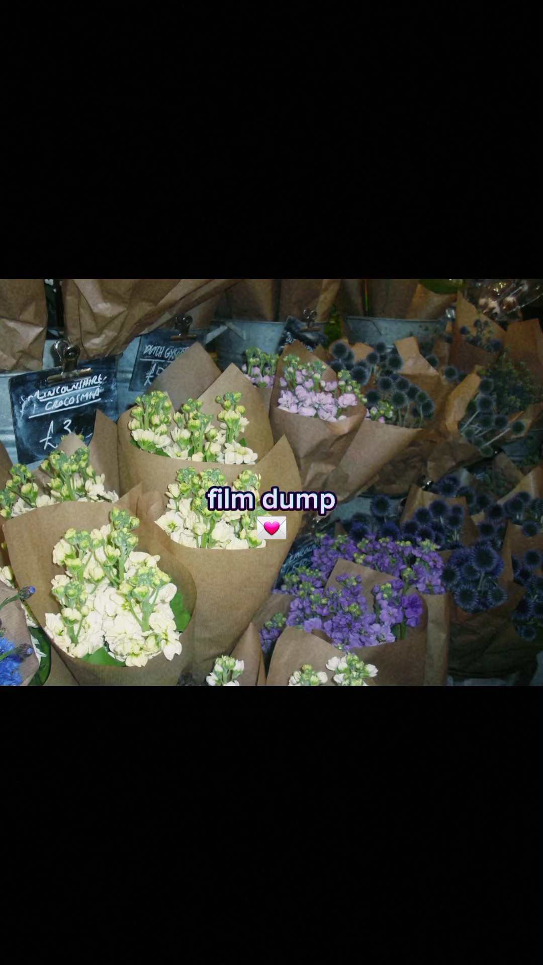 film dump 