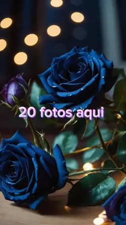 20 fotos aqui 