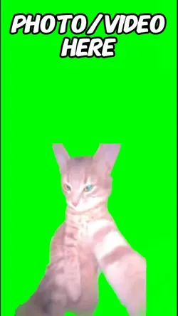 Cat Rizz Meme